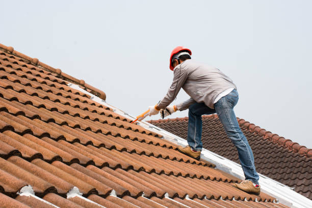 Professional Roofing services in Berea, SC